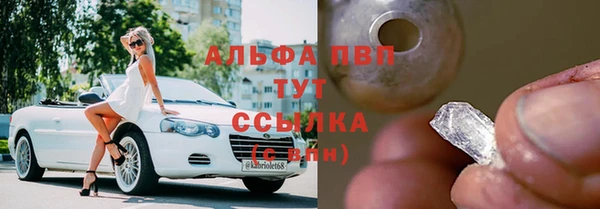 прущие грибы Заволжье