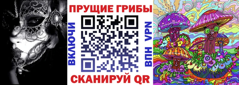где можно купить наркотик  Белово  Галлюциногенные грибы GOLDEN TEACHER 